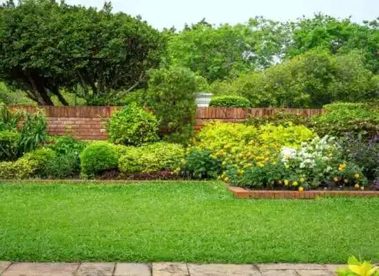 landscaping services Oran